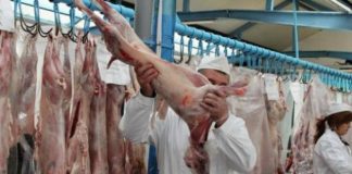 Centru de permanenţă DSVSA și la Aleșd