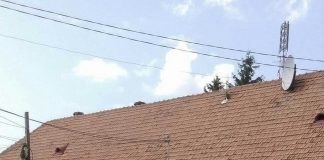 Primaria din Lugasu de Jos a fost sparta de hoti