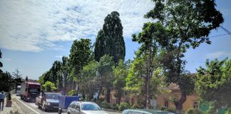 RECOMANDĂRI PENTRU O CĂLĂTORIE ÎN SIGURANŢĂ ÎN PERIOADA CANICULARĂ