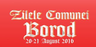Două zile de distracție la Zilele Borodului, în perioada 20-21 august