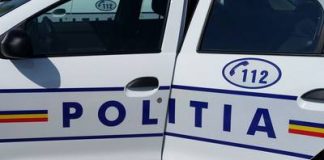 Tânăr din Şuncuiuş cercetat penal, după ce a fost prins că transporta lemne fără acte și fără permis de conducere