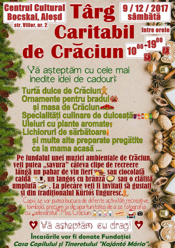 Târg caritabil de Crăciun la Aleșd