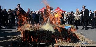 Festivalul-concurs ”D-ale porcului”