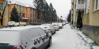 zăpadă Aleșd