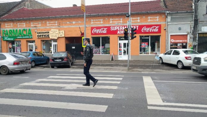 zebra poliţia Aleșd-8