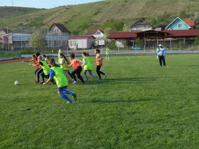 CRIȘUL ALEȘD-800x600