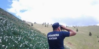 jandarm montan-800x499