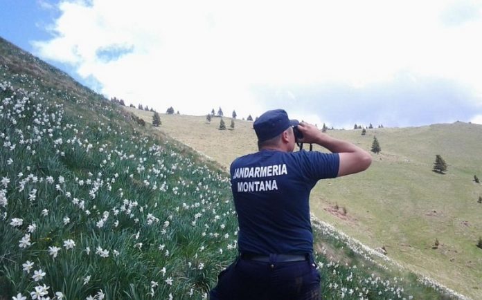 jandarm montan-800x499