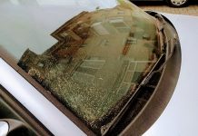 paraf saharian peste Aleșd-800x450