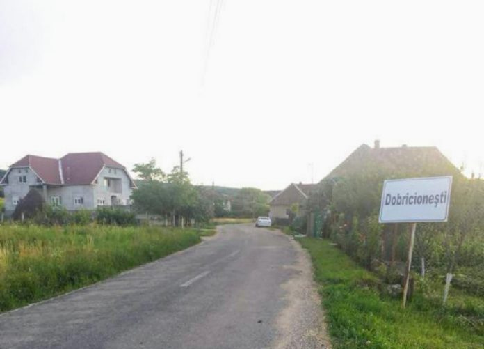 Dobricioneşti-800x576