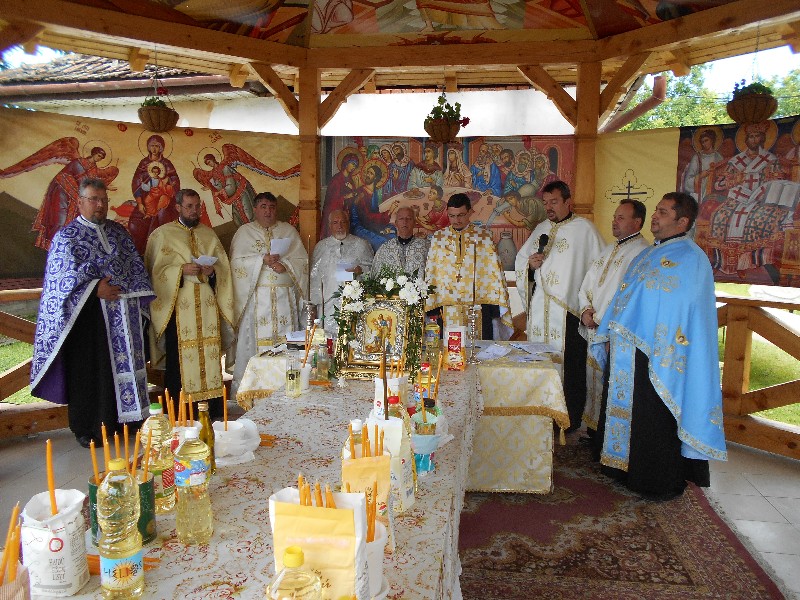 SĂRBĂTOARE DE HARM LA ALEȘD 3 -800x600