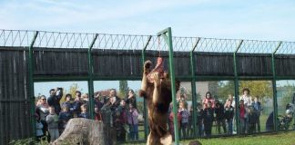 „Ziua părinților adoptivi”, la Grădina Zoologică Oradea, sâmbătă, 6 octombrie