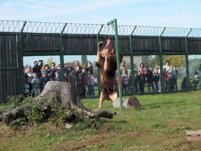 Grădina Zoologică din Oradea-800x600