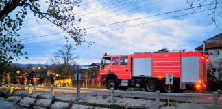 Pompierii au salvat un bivol căzut într-un canal de fugă de la Aștileu bivol căzut într-un canal de fugă de la Aștileu