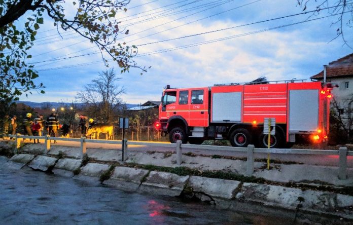 bivol căzut într-un canal de fugă de la Aștileu bivol căzut într-un canal de fugă de la Aștileu