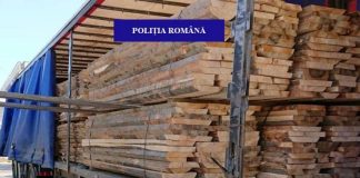 Aproape 30 metri cubi de cherestea, expediați fără documente legale, confiscați de polițiști