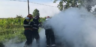 Șase incendii și o operațiune de salvare a unui animal într-o singură zi