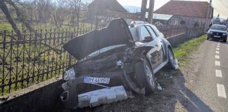 accident Topa de Criș-800x450