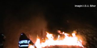 incediu vegetație Aleșd-