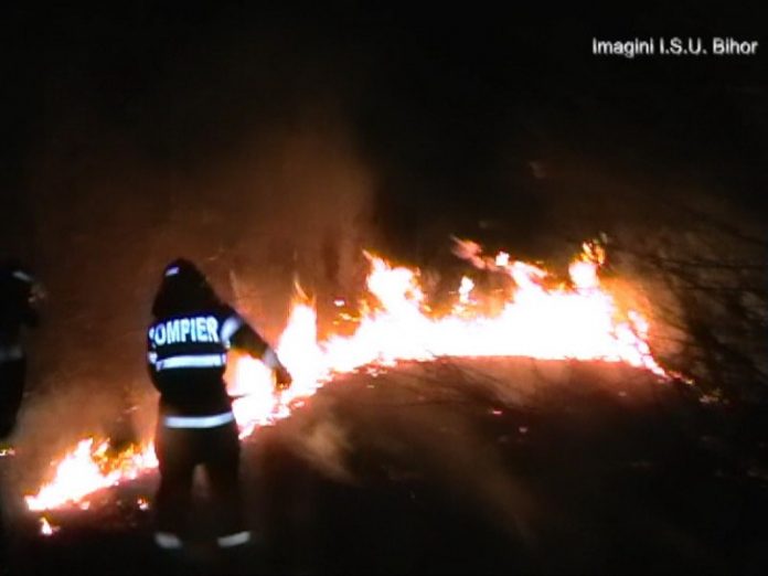 incediu vegetație Aleșd-