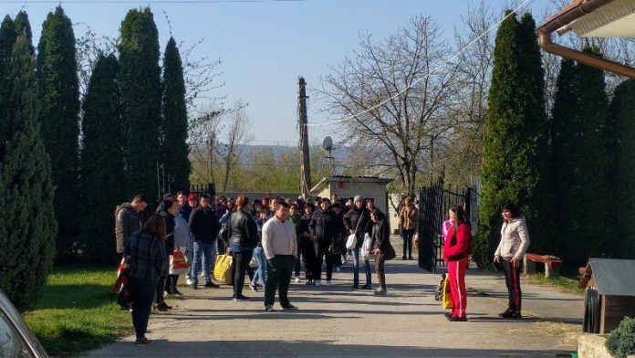 Greva Saramac Tinăud-800x451