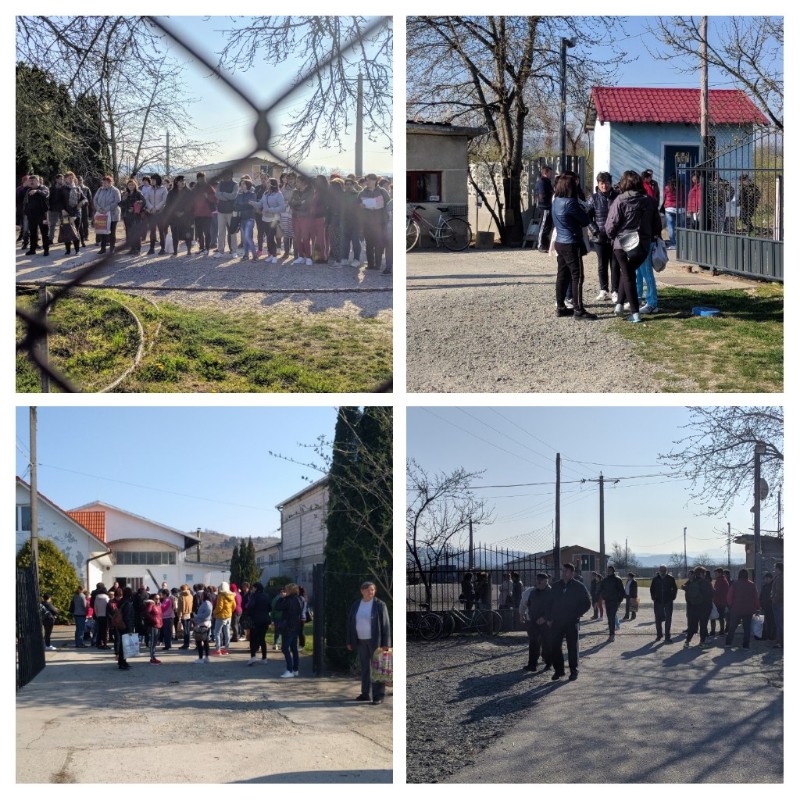grevă sarmac Tinăud-800x800