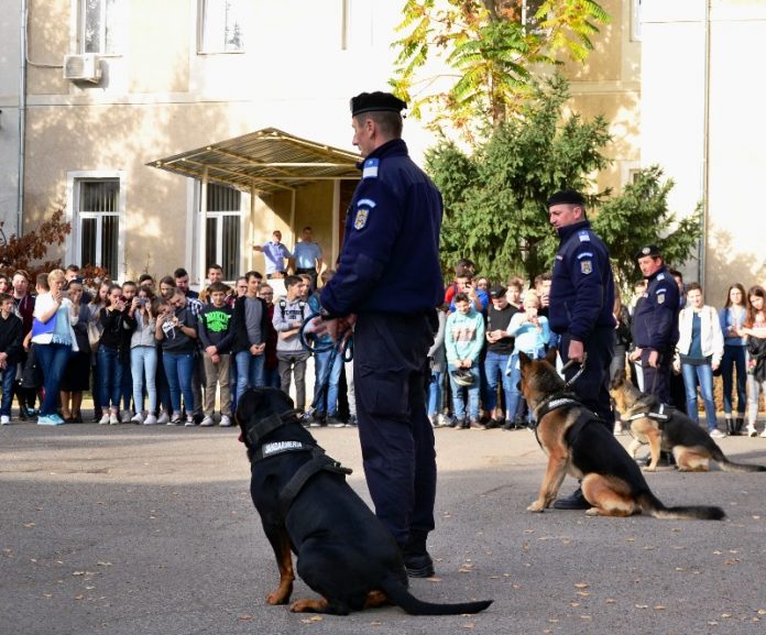 Ziua Porţilor Deschise la Jandarmeria Bihor