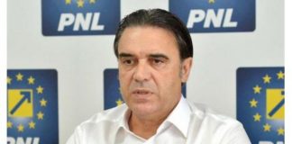 Ioan Cupşa Deputat PNL