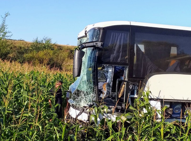 accident Uileacu de Criș 9