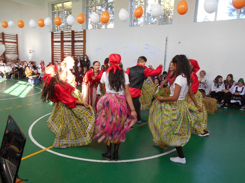 ZILELE ÎNVĂȚĂRII NONFORMALE ALEȘD