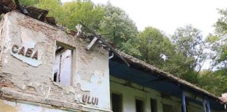Consiliul Județean Bihor caută constructor pentru reabilitarea cabanei de la Vadu Crișului
