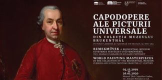 Muzeul Ţării Crişurilor