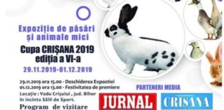 Expoziția județeană de păsări și animale mici „Cupa Crisana 2019” la Vadu Crișului