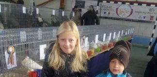 Cupa Crișana la Vadu Crișului Cupa Crișana la Vadu Crișului 2