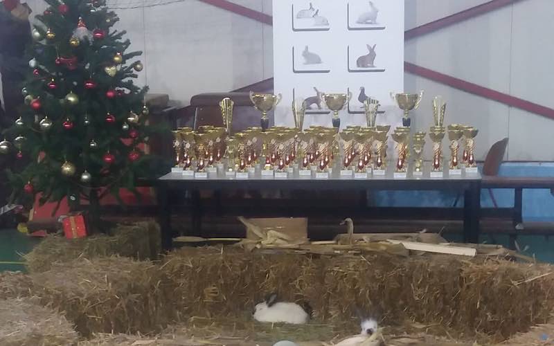 Cupa Crișana la Vadu Crișului