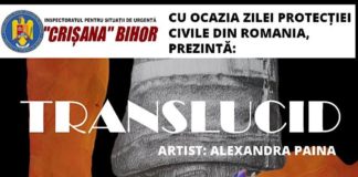 Pompierii militari vă invită la vernisajul expoziției caritabile de pictură “TRANSLUCID”