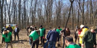 LUNA PLANTĂRII ARBORILOR