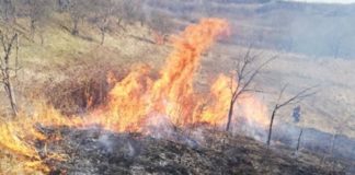 Incendiu de vegetație la Țigănești: 6 hectare, cuprinse de flăcări (video) Incendiu de vegetație la Țigănești