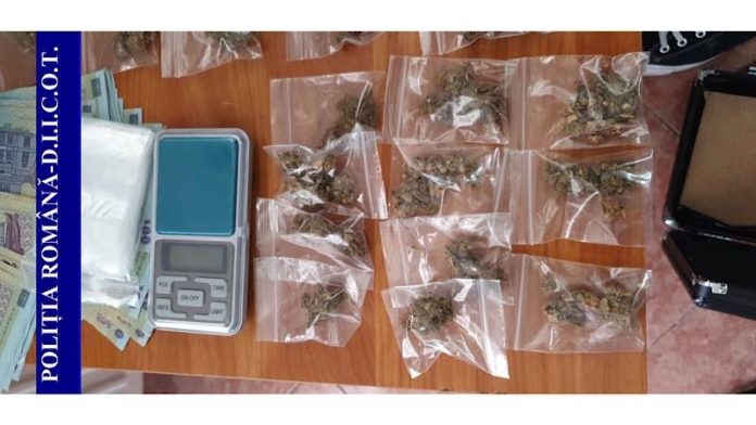 4C451DFF-1731-4D00-9519-B4938C077413 Un bărbat din Popești a fost prins în timp ce încerca să vândă o sută de grame de canabis