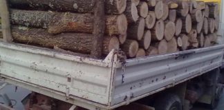 Polițiștii din Borod au confiscat de la un bărbat din Vârciorog 12 metri cubi de lemne de foc Lemne foc