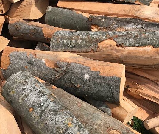 Aproape 35 de metri cubi de lemne de foc, confiscați valoric de polițiști, la un depozit din Aștileu Lemne de foc