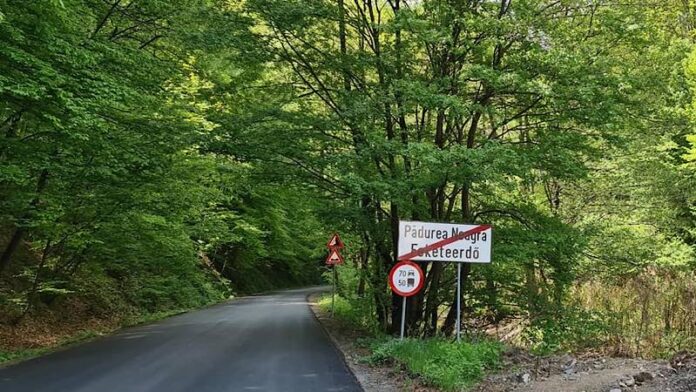 drumul dintre Voievozi si Pădurea Neagră 3