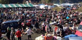 Ediția de vară a Târgului de la Negreni a fost anulată