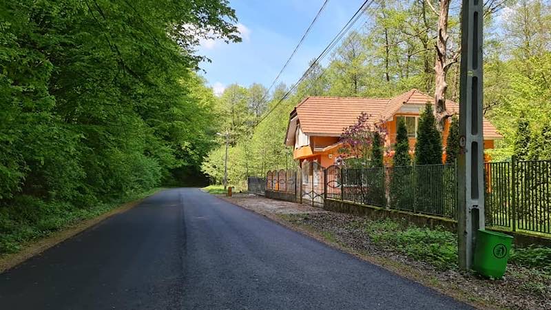 drumul dintre Voievozi si Pădurea Neagră