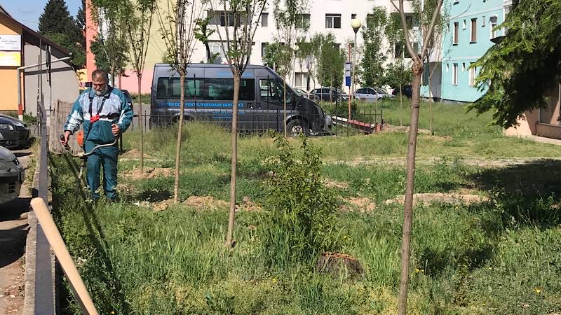 Cur pățeniearc Aleșd