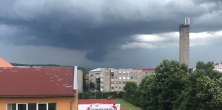 Cod portocaliuAleșd