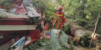 Accident mortal Topa de Criș 5