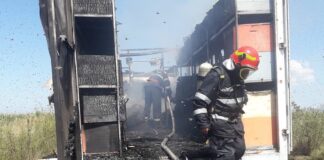Camion plin cu stupi de albine distrus într-un incendiu la Hotar