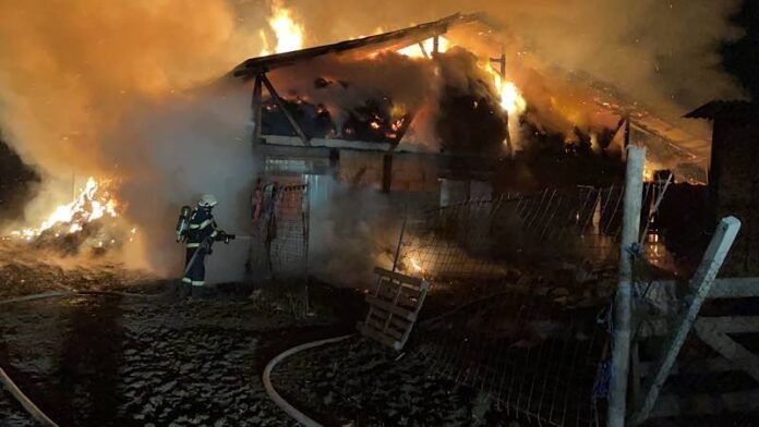 Incendiu Țețchea 5