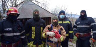 O pisică a fost salvată de pompierii din Aleșd dintr-o fântână adâncă de 10 metri pisică salvată de pompierii din Aleșd